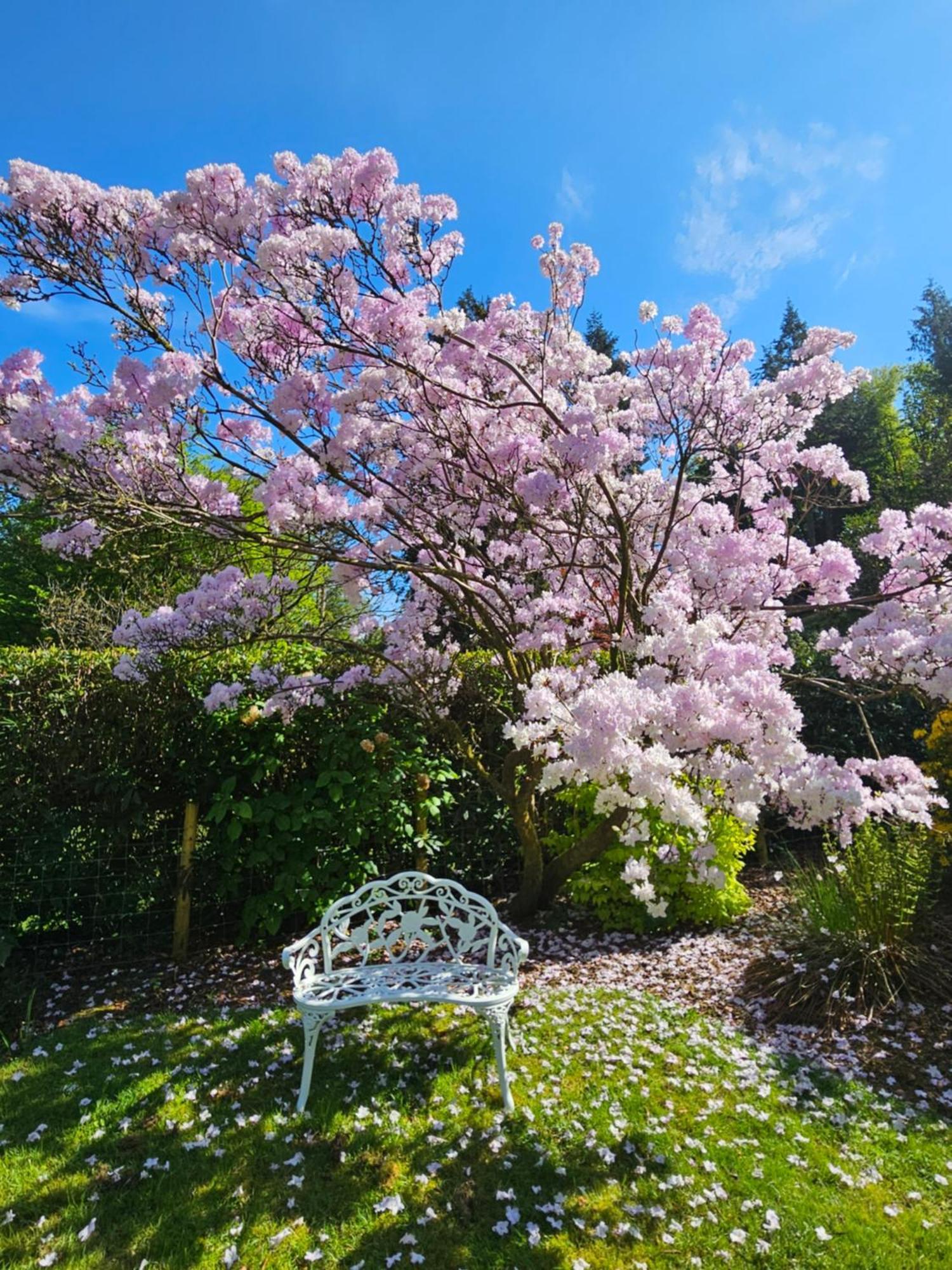 Foxghyll Country House Bed & Breakfast Ambleside Exterior photo