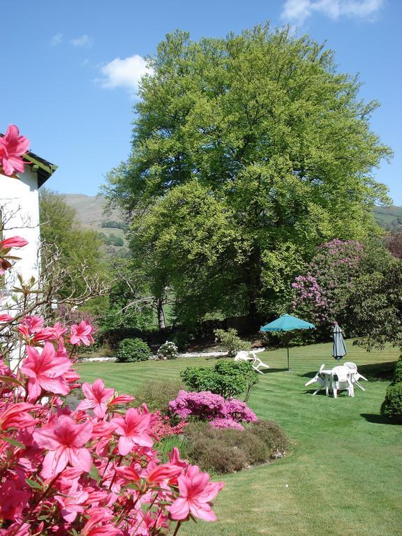 Foxghyll Country House Bed & Breakfast Ambleside Exterior photo