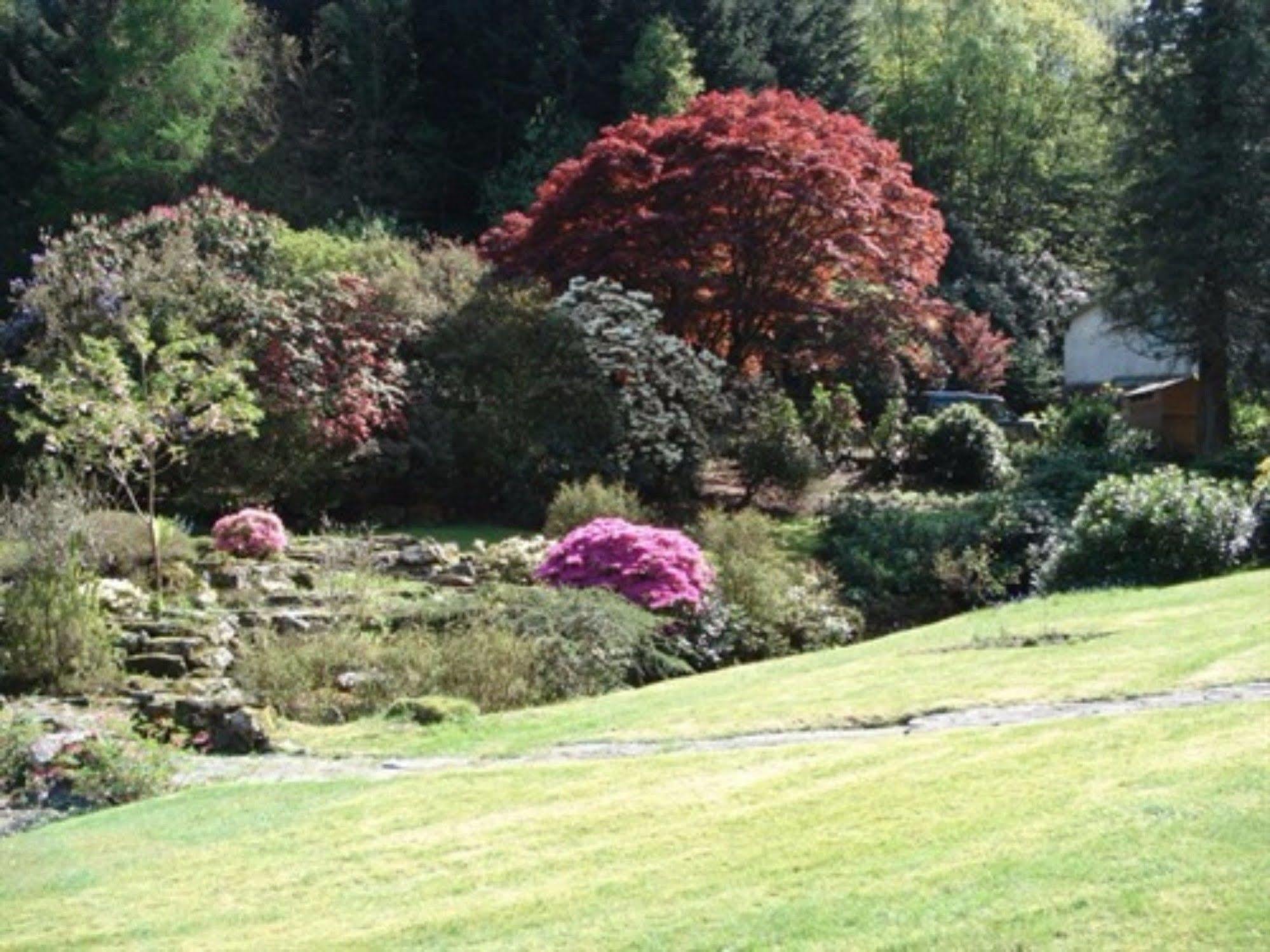 Foxghyll Country House Bed & Breakfast Ambleside Exterior photo